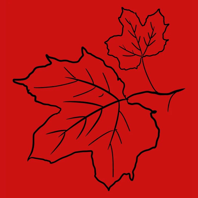 Maple Leaf / Maple Leaves, Decorative Drawing.
