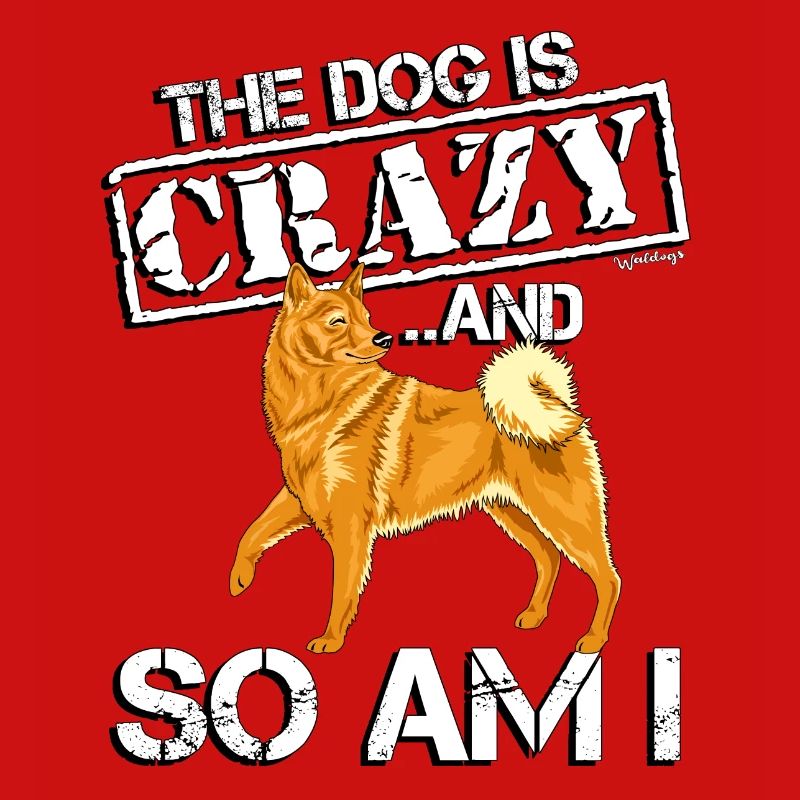 Finnish Spitz Crazy