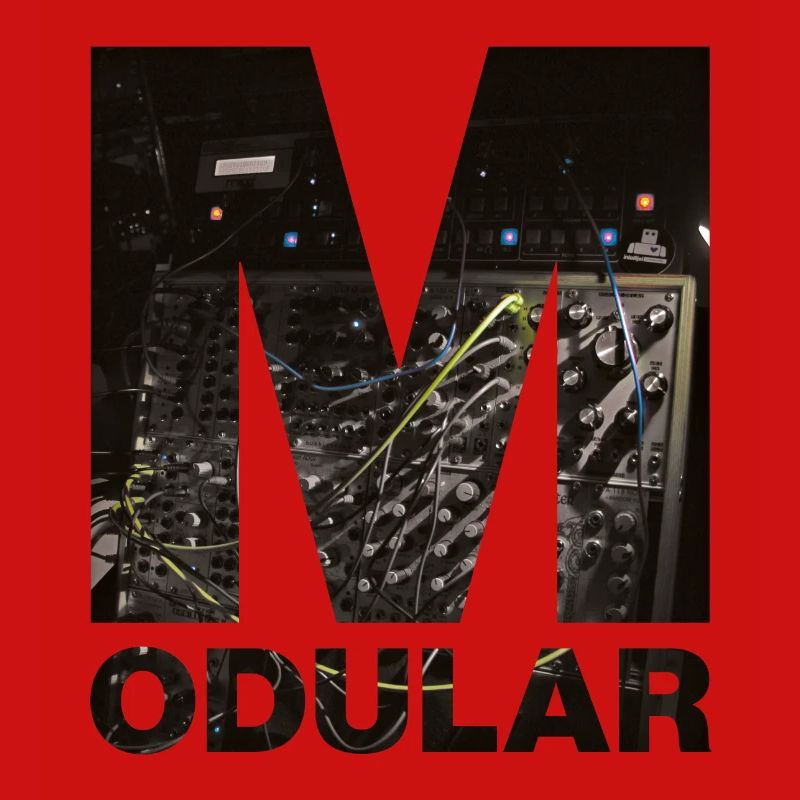 Modular System Moog, Make Noise, Vermona, Patch