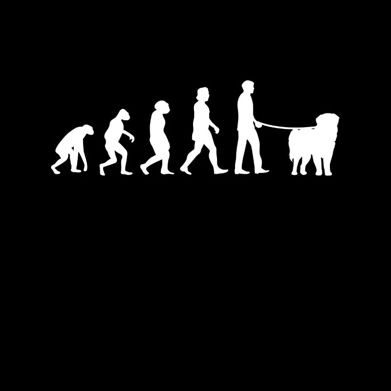 Leonberger Evolution