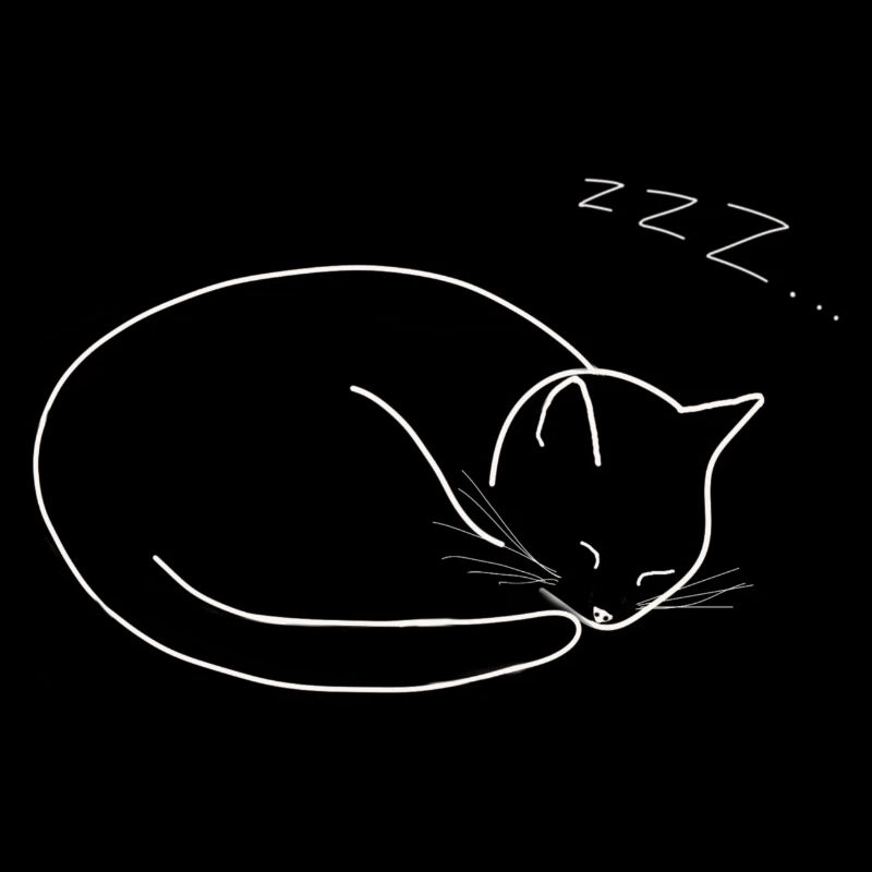 Sleeping cat