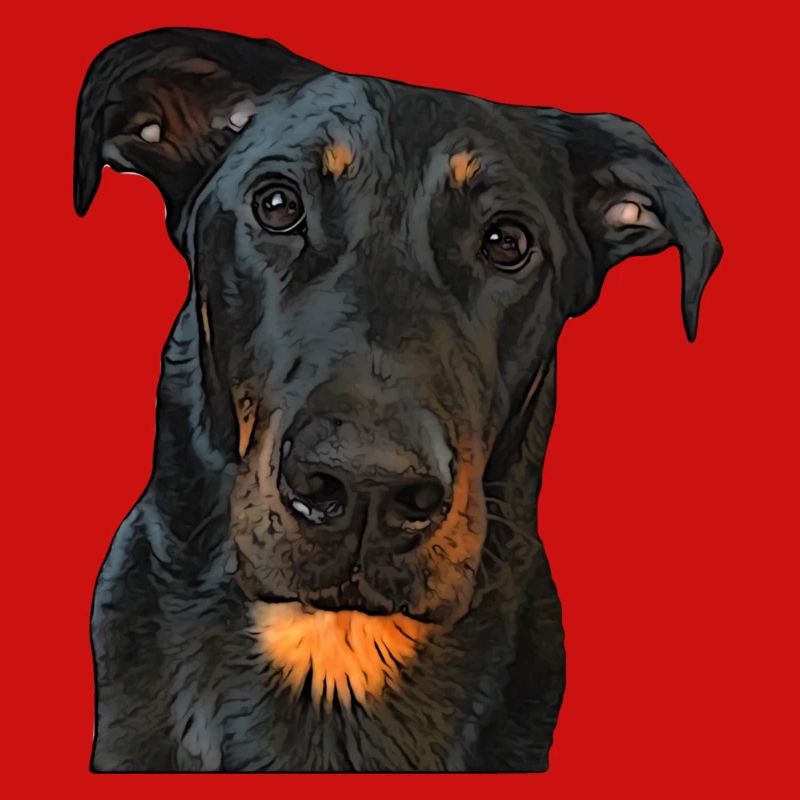 Blick auf den Beauceron