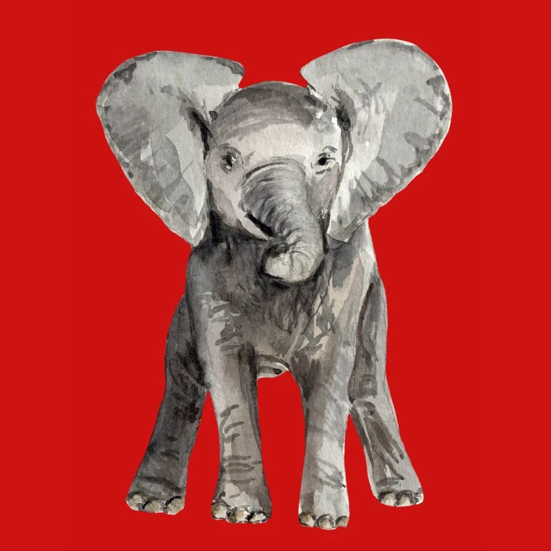 Éléphant bébé