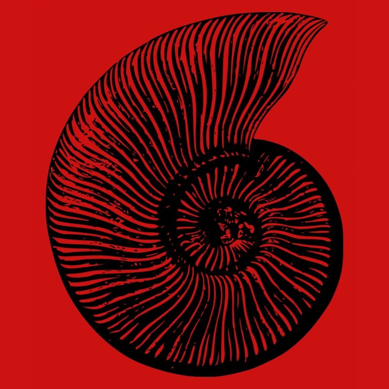 Fossil