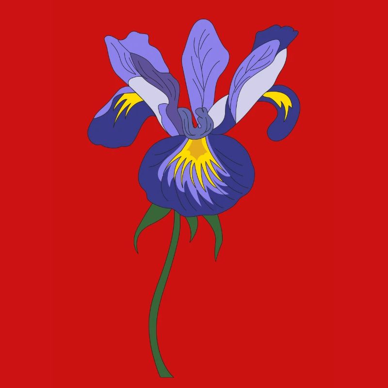 Iris Blume