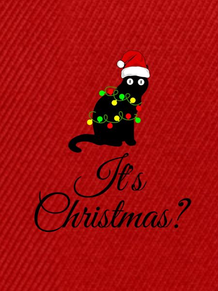 Cat Christmas