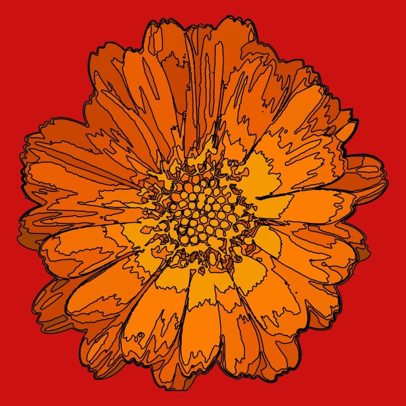 Abstrakte Ringelblume