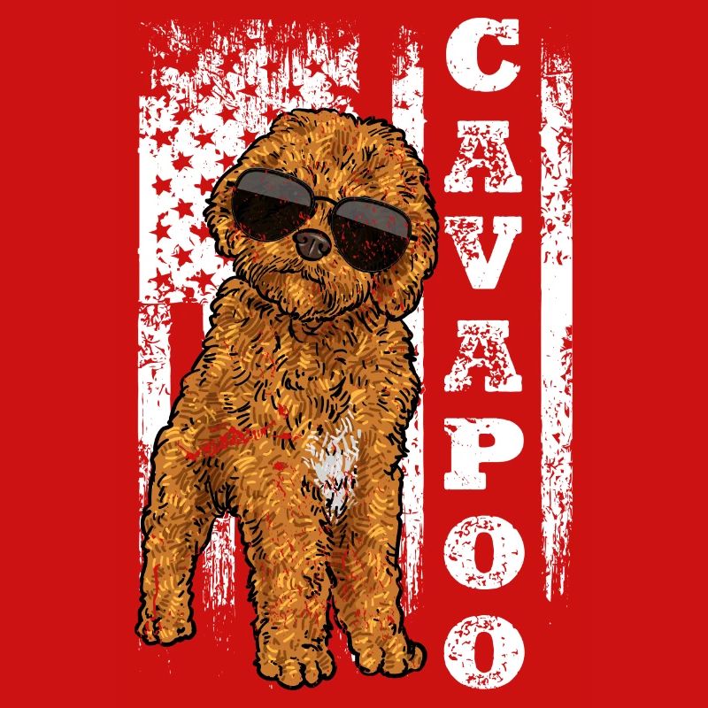 Cavapoo Cavoodle Capoodle Dog