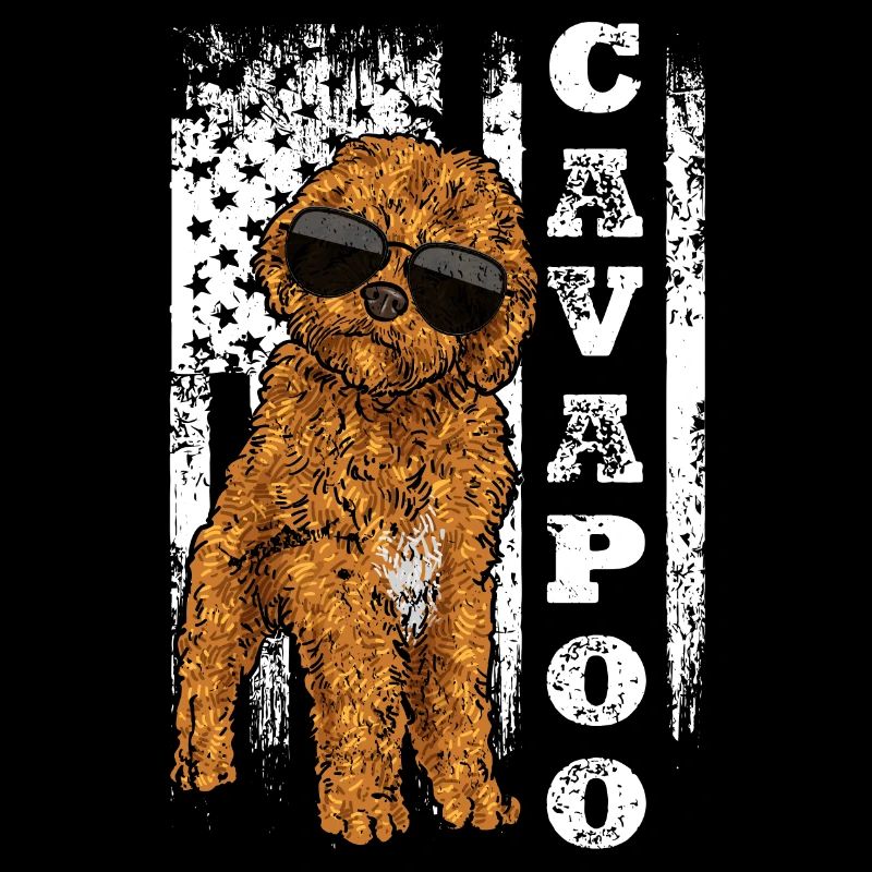 Cavapoo Cavoodle Capoodle Chien