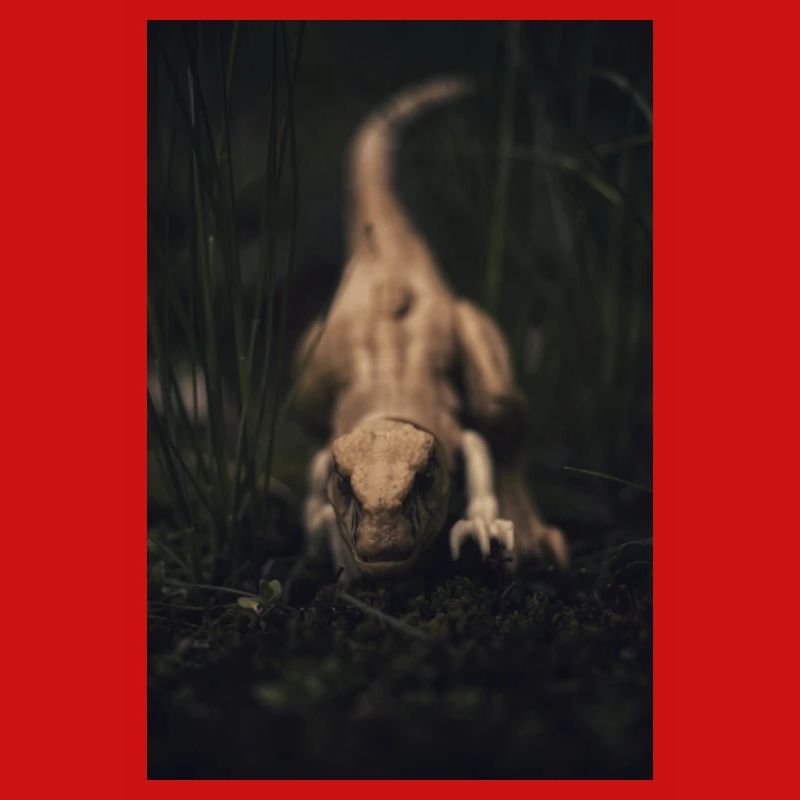 Raptor