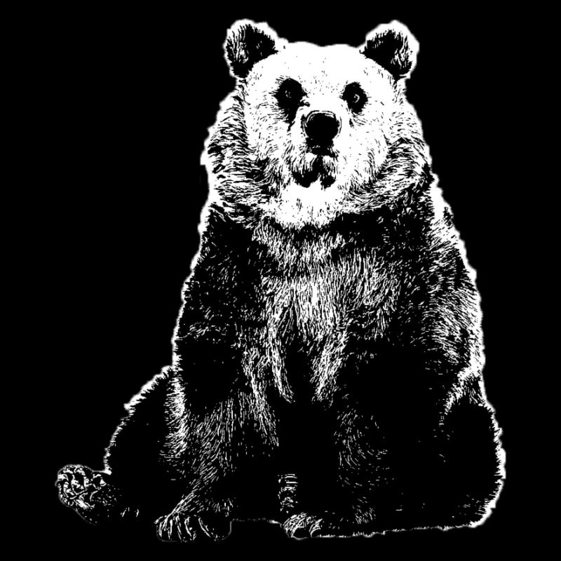 baer