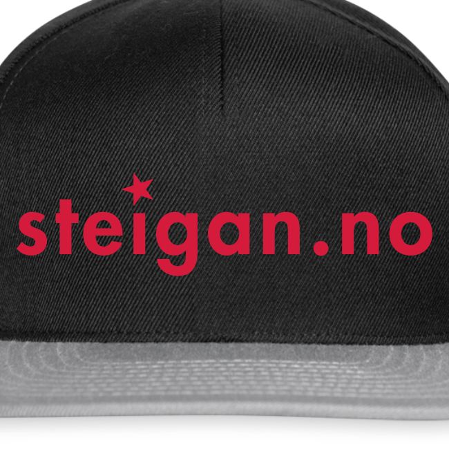 steigan.no logo