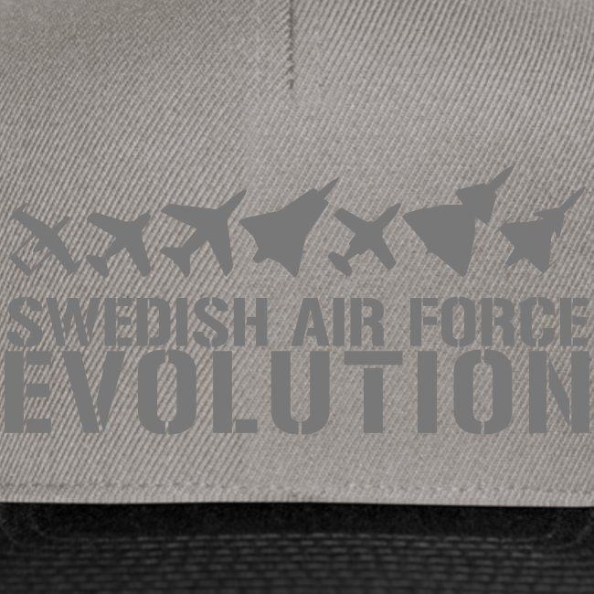 Swedish Air Force Evolution