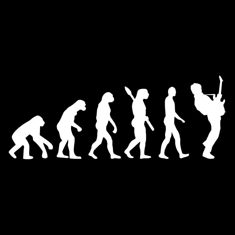 Guitarist Bassist Evolution
