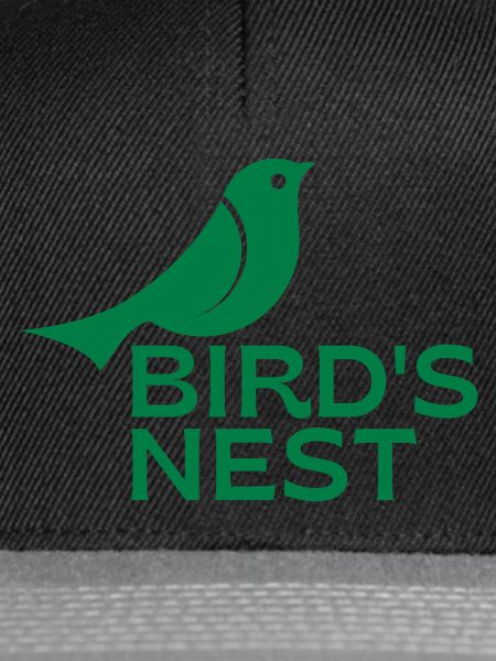 Bird's Nest