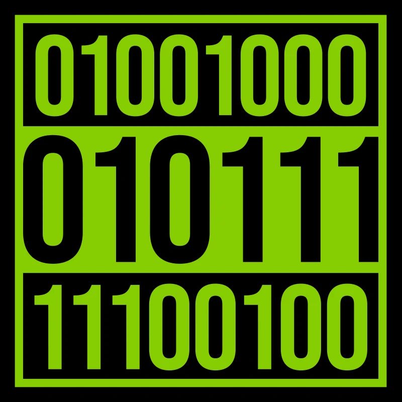 Langage de programme de code binaire