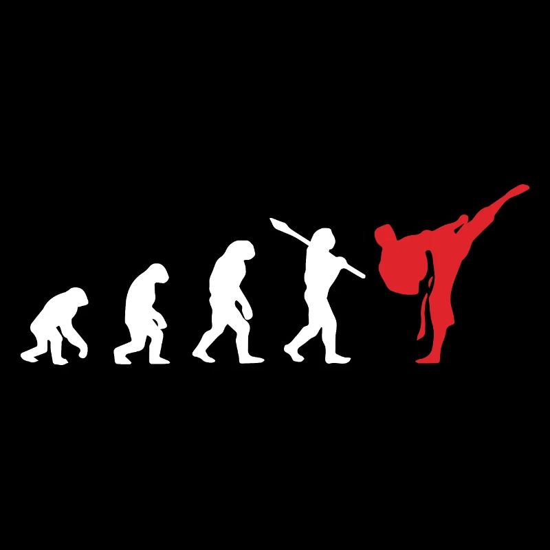 Karate Evolution Entwicklung Kamfkunst