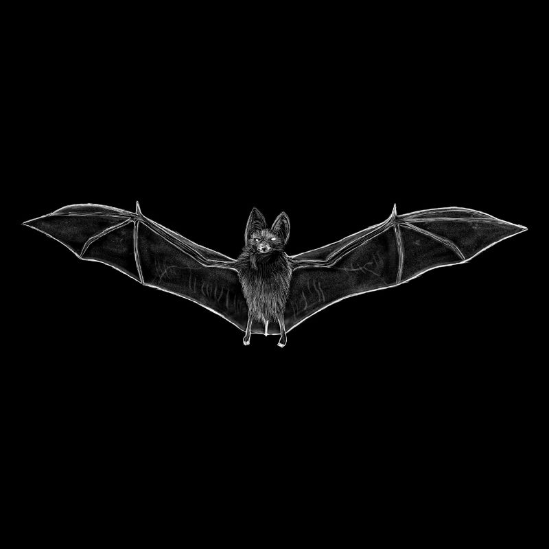 Fledermaus