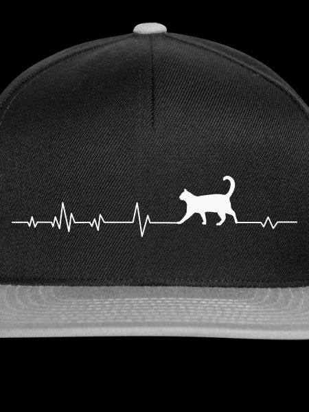 Katze Katzen