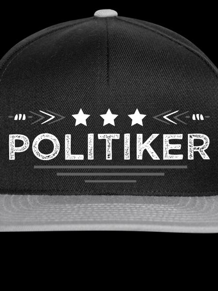 Politiker Beruf