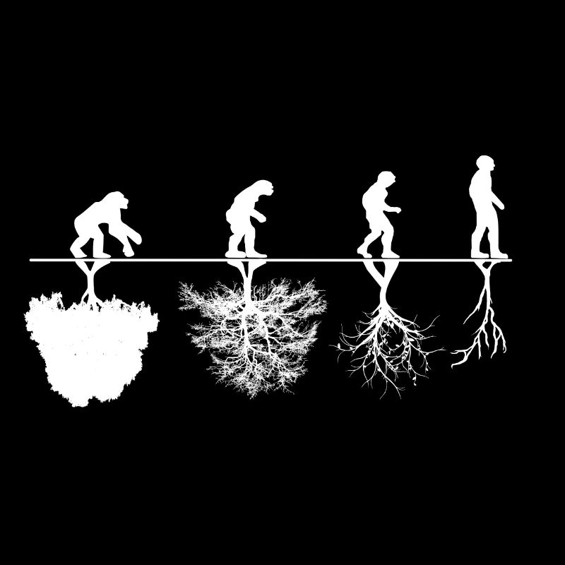 Evolution Kritik