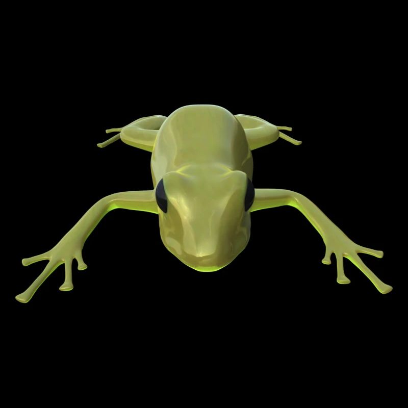 Frosch