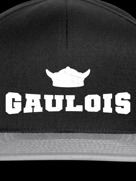Gaulish helmet horns