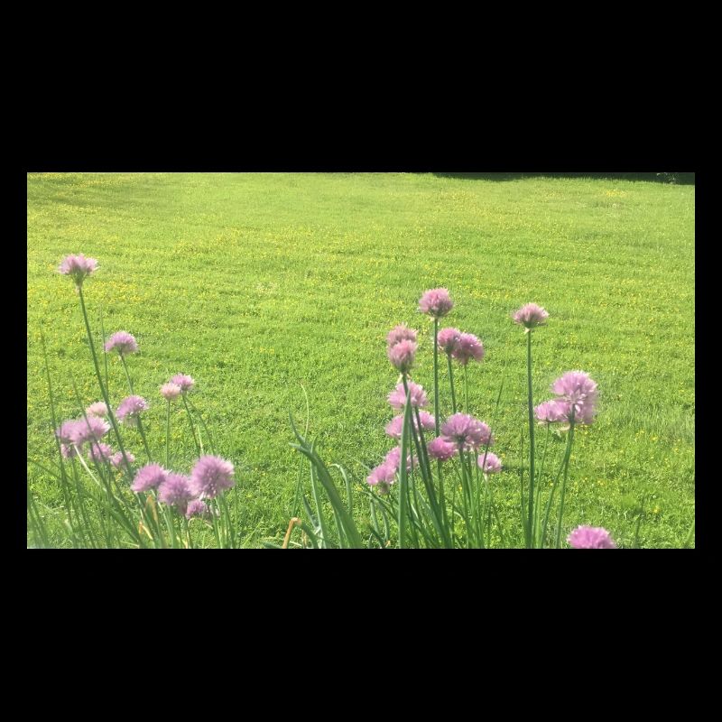 F8377DE8 6BF7 40E6 9C38 EA0AEDBF0DF7