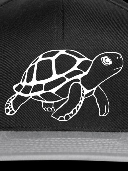 Schildkröten Schildkröten