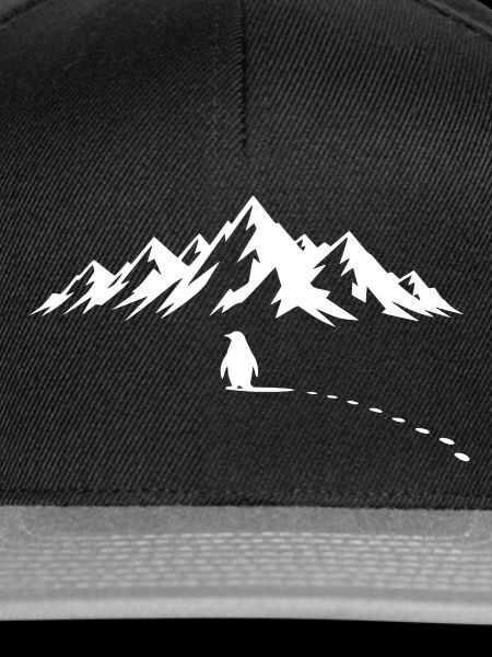 Pinguin Eisberg