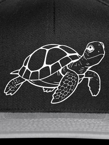 Schildkröten Schildkröten