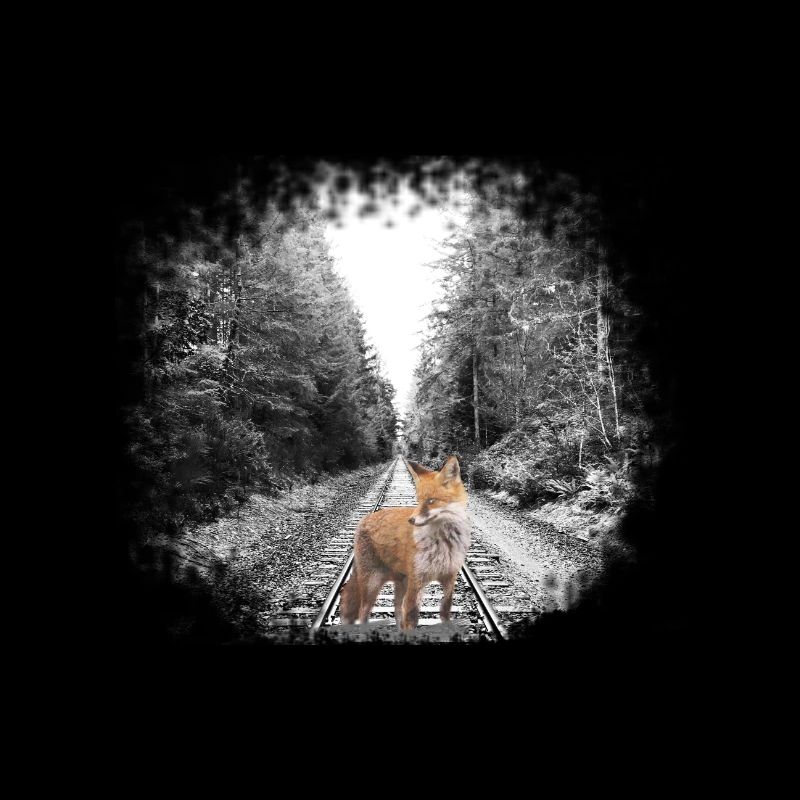 fox renard