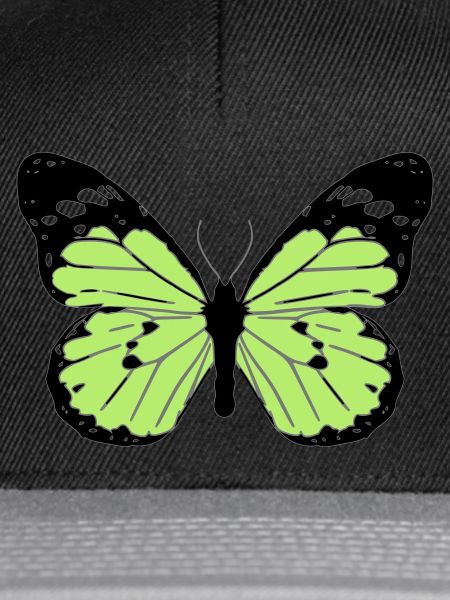 Black and green butterfly