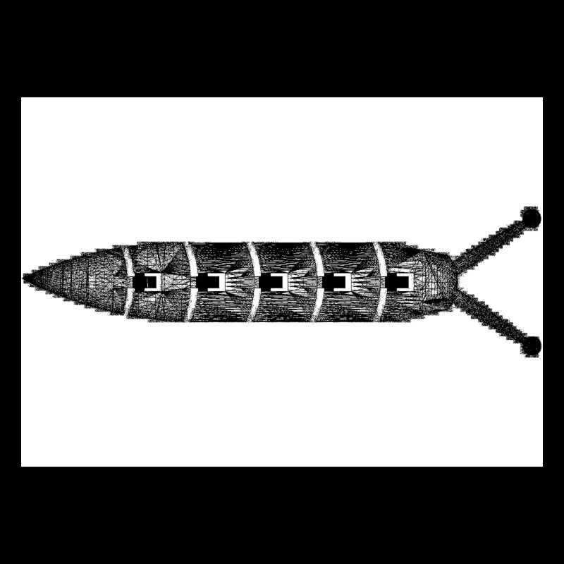 Kackschnecke