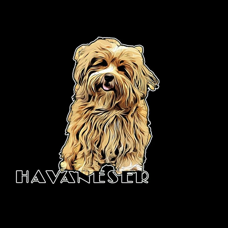 Havanese Comic Text2