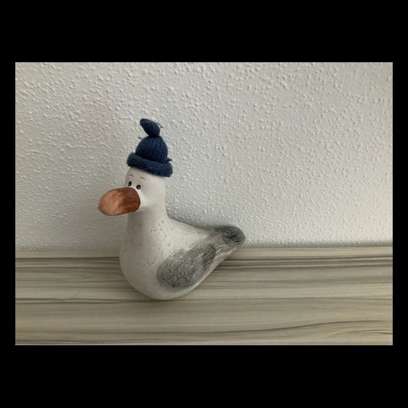 Möwe