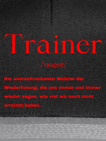 Trainer Definition