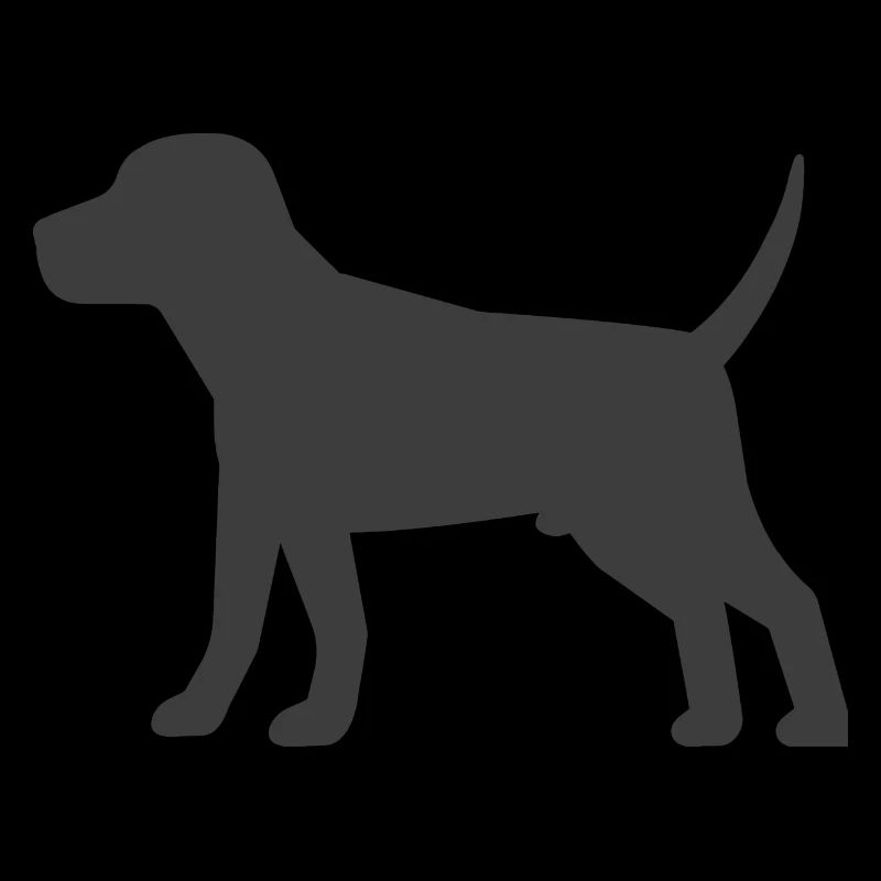 Hund