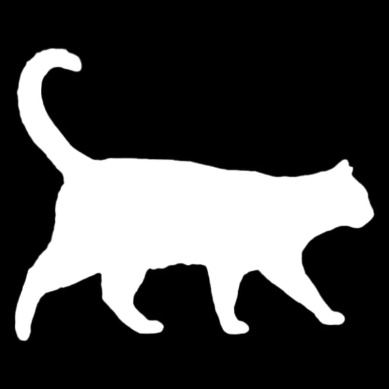 Katze