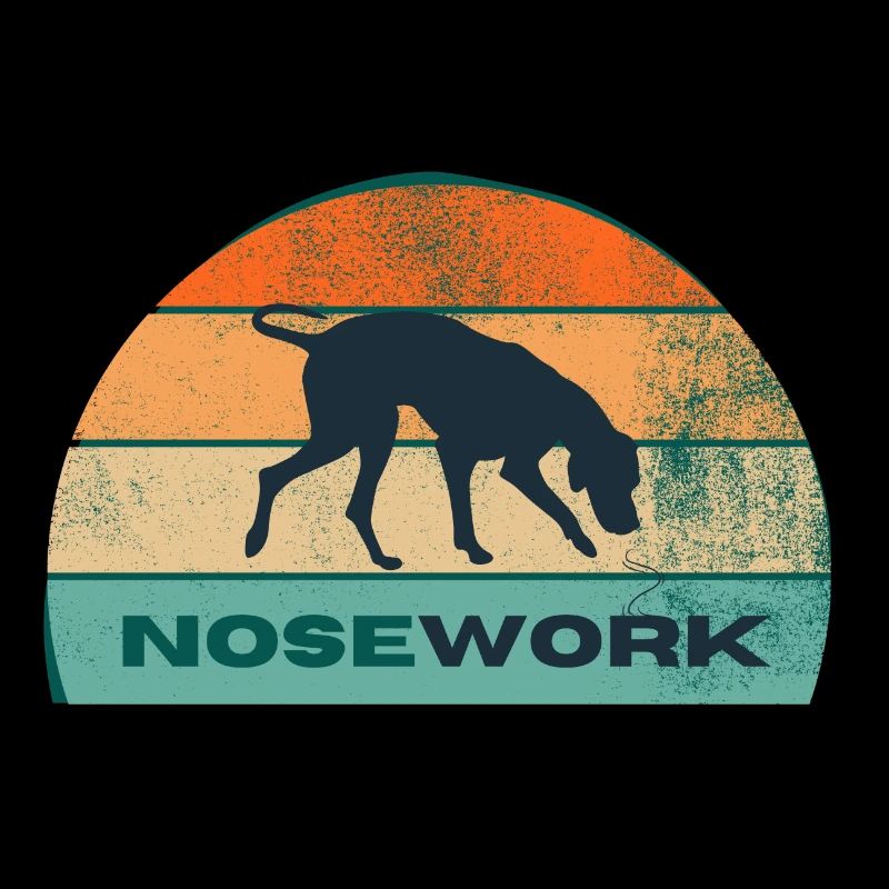 I train NOSEWORK - sun