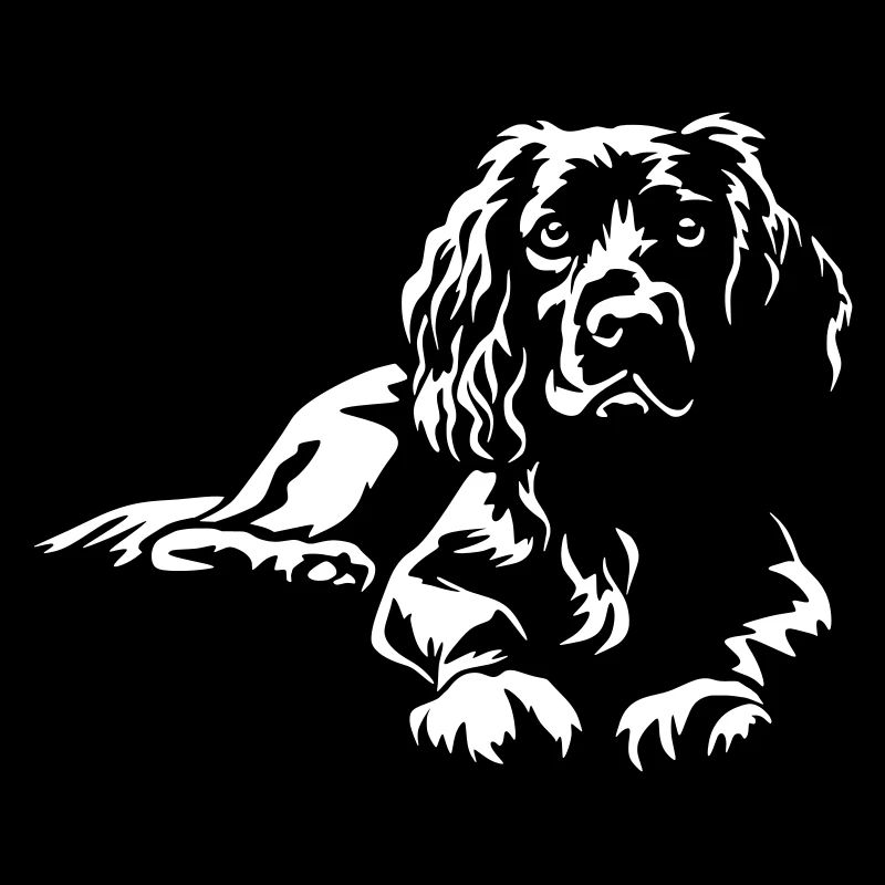 Boykin Spaniel "Black Edition"