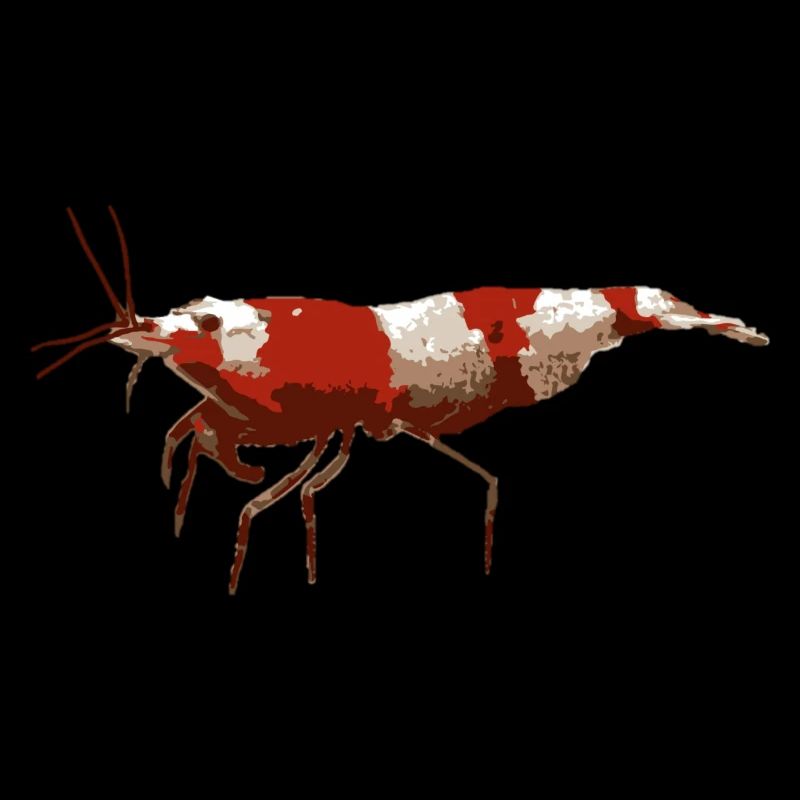 Garnele Red Bee