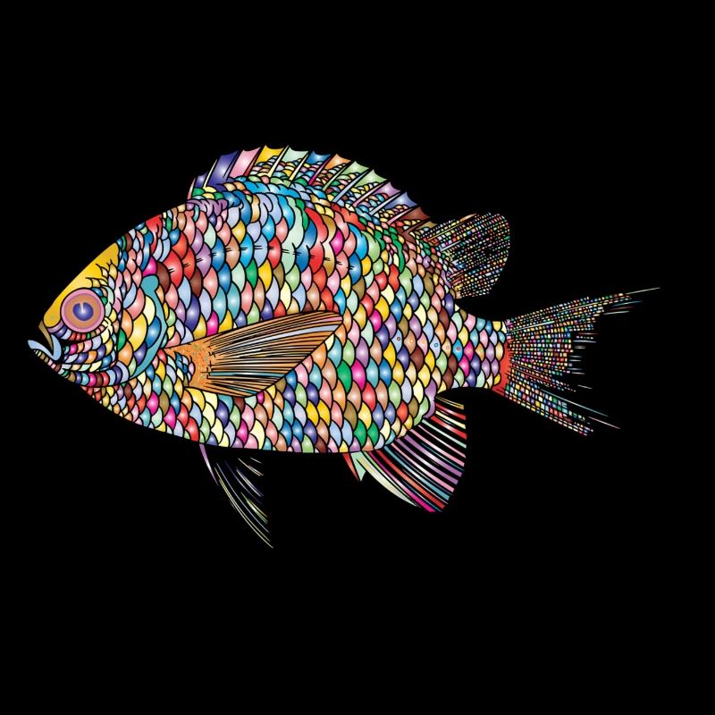 fish / fish