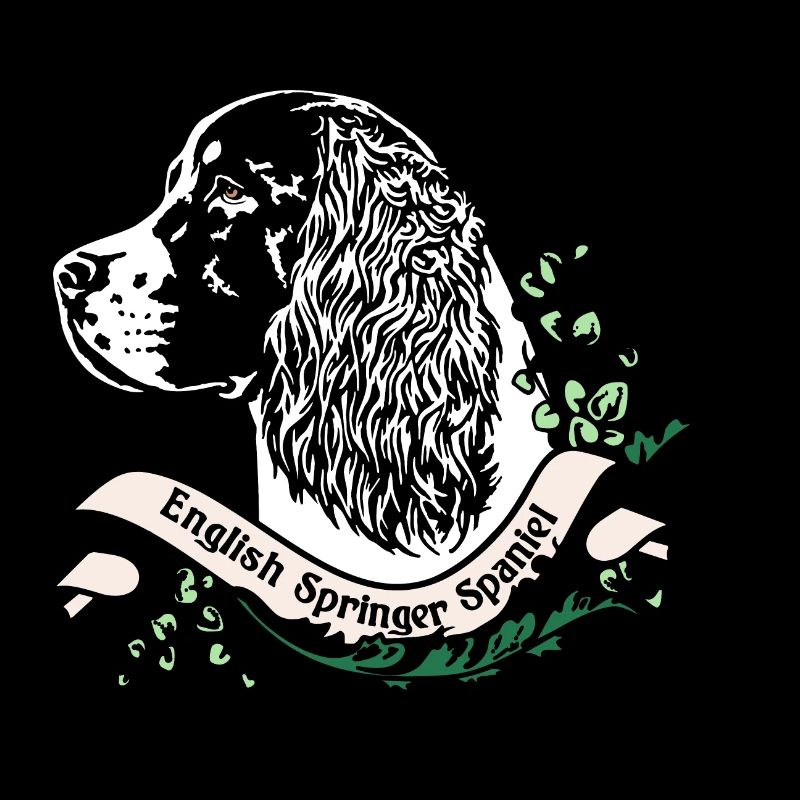 Springer Spaniel Anno 1900