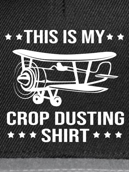 Crop Duster Flugzeug Pilot