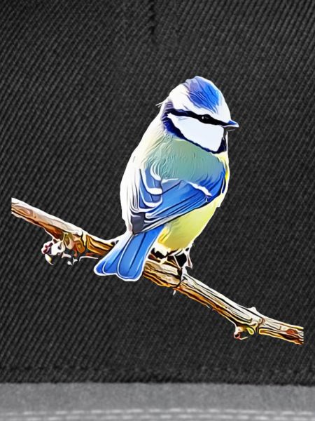 Blau – Vogelillustration