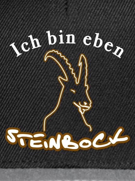 Sternzeichen Steinbock