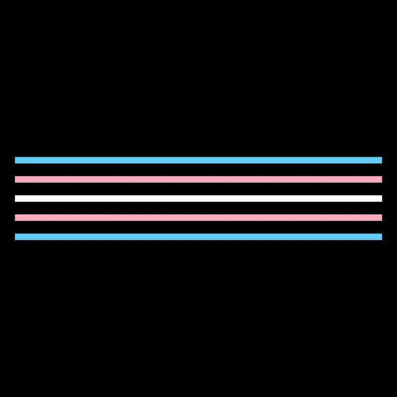 Drapeau Trans - Trans Flagga