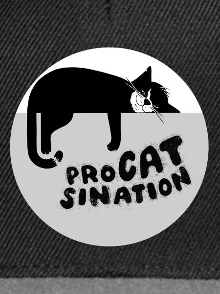 Typ-o-Cat #87 ProCATsination