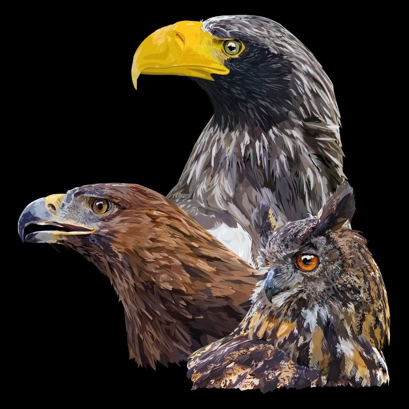 Greifvögel